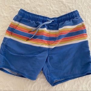 Men’s L Rowdy Gentlemen Swim Trunks, Retro Stripe